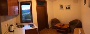 Kuchyň nebo kuchyňský kout v ubytování Apartments Stari most + 27 fotografií