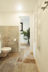 La salle de bains est pourvue de toilettes et d'une plante. dans l'établissement Larroque Haute Gites, à Cassagnes