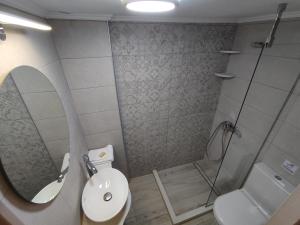 ein Badezimmer mit einem Waschbecken, einem WC und einem Spiegel in der Unterkunft Filoxenia Studios 1 in Palaiochóra
