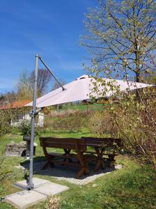 Jardín al aire libre en Villa-Bajka