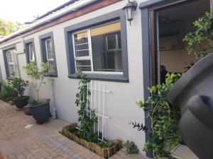 une maison avec des plantes sur son côté dans l'établissement Rondebosch East Garlandale STRICTLY HALAAL, fresh garden cottage, au Cap