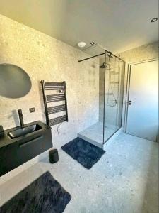a bathroom with a glass shower and a sink at Tres bel appartement le Concordance in Mulhouse