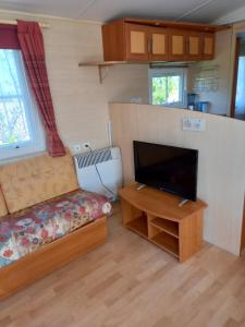 um pequeno quarto com uma cama e uma televisão de ecrã plano em mobilhome nature em Saint-Laurent-sur-Mer