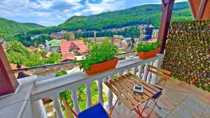 a balcony with two plants and a view of a city at Casa Giulia in Băile Olăneşti