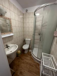 a bathroom with a toilet and a shower and a sink at Dom pod Sosnami in Pobierowo