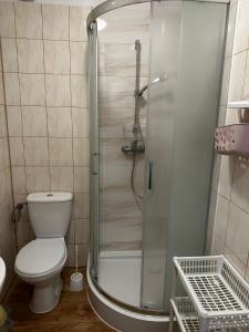 a bathroom with a shower with a toilet and a sink at Dom pod Sosnami in Pobierowo