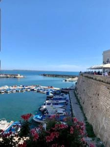 a group of boats in the water near a harbor at Casa Centro storico Gallipoli in Gallipoli