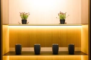 a shelf with three potted plants on top of it at Luxury Apartments-Belochka in Uzhhorod
