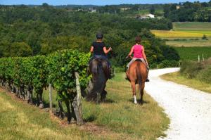 two people riding horses through a vineyard at Le Nid du Coucou 