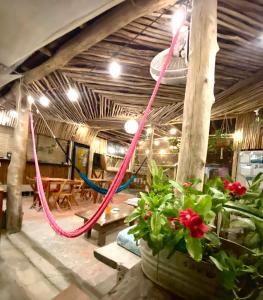 Fotografie z fotogalerie ubytování Barco Verde Hostel v destinaci Ostrov Holbox