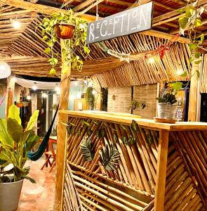 Fotografie z fotogalerie ubytování Barco Verde Hostel v destinaci Ostrov Holbox