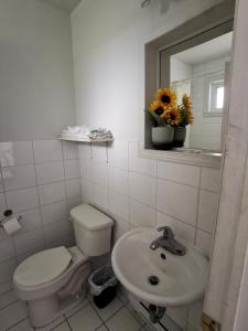 een badkamer met een toilet, een wastafel en een spiegel bij Motel Sainte Catherine in Sainte-Catherine