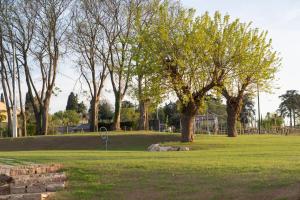 un parc avec un arbre et quelques herbes et arbres dans l'établissement RipassoQui, à Custoza