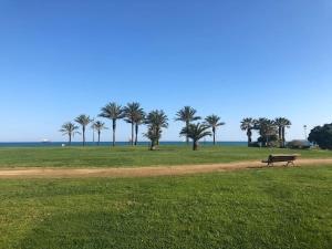 Fotografie z fotogalerie ubytování Porta del Mar - Pineda v destinaci La Pineda