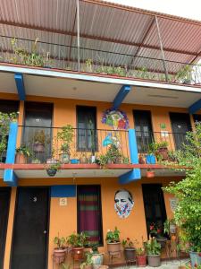 een gebouw met potplanten op een balkon bij El Rincón de Doña Bety in Oaxaca City