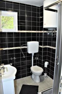 a black tiled bathroom with a toilet and a sink at Apartment MMP in Kotor