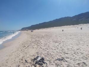 a beach with a lot of footprints in the sand at Galia in Rafrāf