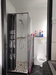 La salle de bains est pourvue d'une douche et de toilettes. dans l'établissement Studio bien situé, à Eybens