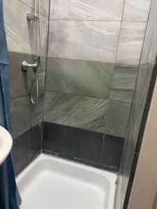 een douche met een glazen deur in de badkamer bij sam apartmant 12 in Wenen
