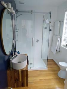 a bathroom with a shower and a sink and a mirror at A little bit of country on the city's doorstep in Napier