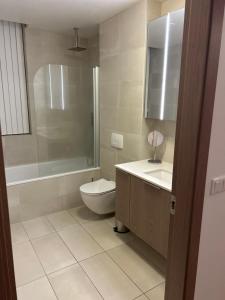 a bathroom with a toilet and a tub and a sink at Reykjavikrental in Reykjavík +6 photos