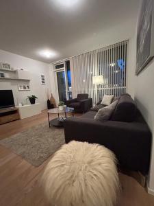 a living room with a black couch and a white rug at Reykjavikrental in Reykjavík