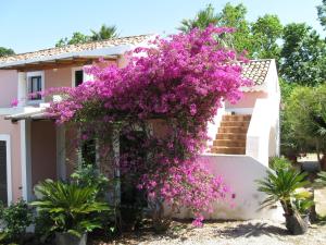 ein Haus mit rosa Blumen davor in der Unterkunft Residence il Baglio in San Giorgio