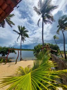a beach with palm trees and a body of water at Chalé Brisa da Lagoa in Icaraí +36 photos