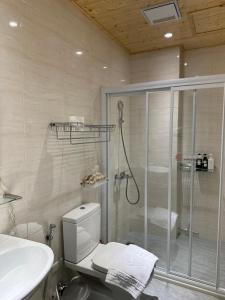 ein Bad mit einer Dusche, einem WC und einem Waschbecken in der Unterkunft 三木三白包棟民宿 in Puli