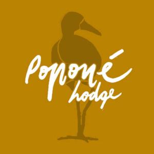 un pato parado en un árbol con las palabras Promotecnología en Poponé Farm & Lodge en Guápiles