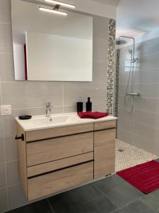 une salle de bain avec un lavabo et un miroir dans l'établissement Les Coulirooms - Gîte, à Sainte-Anne 31 autres photos