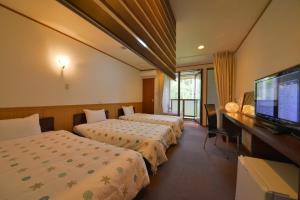 pokój hotelowy z 2 łóżkami i telewizorem z płaskim ekranem w obiekcie Hotel Casual Euro w mieście Nikko