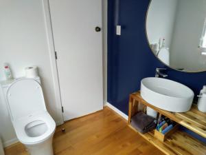 a bathroom with a white toilet and a mirror at A little bit of country on the city's doorstep in Napier