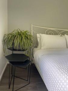 a bedroom with a bed and a plant on a night stand at Heritage cottage in South Hobart in Hobart