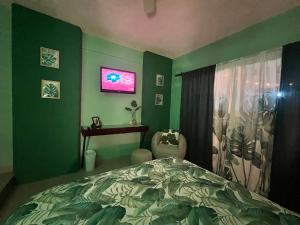 1 dormitorio con paredes verdes, 1 cama y escritorio en DICI Co-Living Housing Cabo San Lucas en Cabo San Lucas