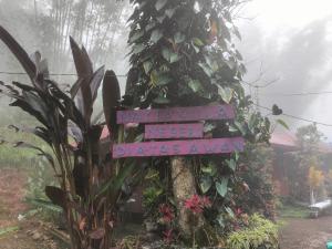 صورة لـ Nayta villa Lolai toraja في رانتيباو