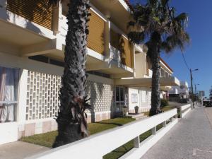 ein Gebäude mit zwei Palmen davor in der Unterkunft Aeromar in Faro