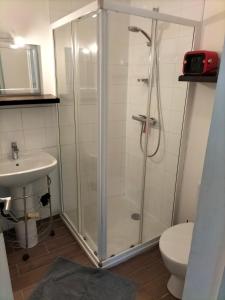 a bathroom with a shower and a toilet and a sink at Au Vélo Fleuri in Bracieux