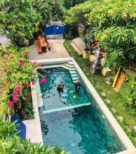 una vista aérea de una piscina con dos personas en el agua en Bali Fab Dive Center, en Amed