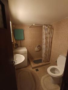 a small bathroom with a toilet and a sink at Appartment near centre, bus and train stations in Pyrgos