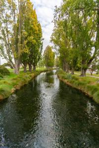 Naturlandskabet i nærheden af lejligheden
