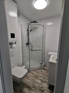 une salle de bain avec une douche en verre et des toilettes dans l'établissement Apartamenty Pisakowe - Apartament Śledzik, à Rowy 40 autres photos