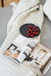 a book and a bowl of red berries on a couch at HORAMI Villa - ORIGAMI Apartment mit Terrasse in Malchow