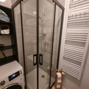 um chuveiro com uma porta de vidro na casa de banho em The lounge 52 em Zagreb