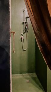 łazienka z prysznicem i zieloną ścianą w obiekcie #StarsBoxtragliulivi w mieście Molfetta