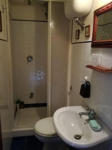 a bathroom with a toilet and a sink and a shower at Casa con vista lago, Civitella Alfedena in Civitella Alfedena