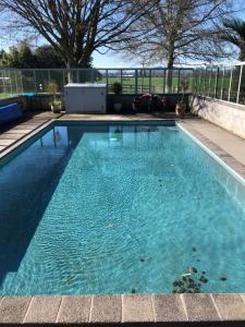 uma piscina com água azul num quintal em Summerfields B & B em Cambridge