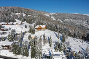 een luchtzicht op een resort in de sneeuw bij Chalet Hochrindl 2 B in Hochrindl