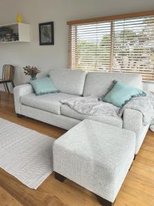 a living room with a grey couch with blue pillows at Home on The Grange in Mt Eden in Auckland