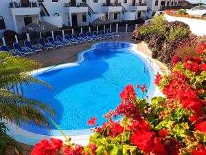 Fotografie z fotogalerie ubytování Appartamento fronte oceano in Amarilla Golf L483 v destinaci San Miguel de Abona